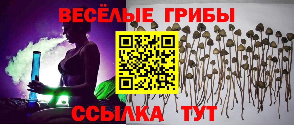 Псилоцибиновые грибы Magic Shrooms  Вход с VPN  Рубцовск  Псилоцибиновые грибы GOLDEN TEACHER 